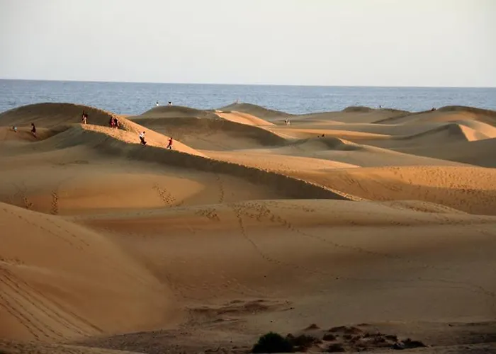 Oasis Dunaflor Maspalomas (Gran Canaria)
